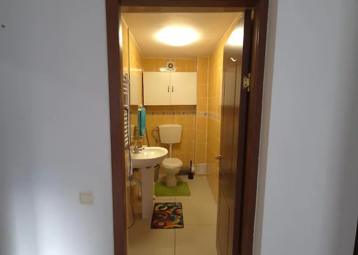 Criselma House Berceni - Linistit Langa Sun Plaza Si Spitale Apartment